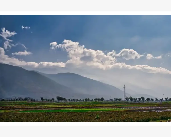 化痰清热，泡脚方剂的中医智慧